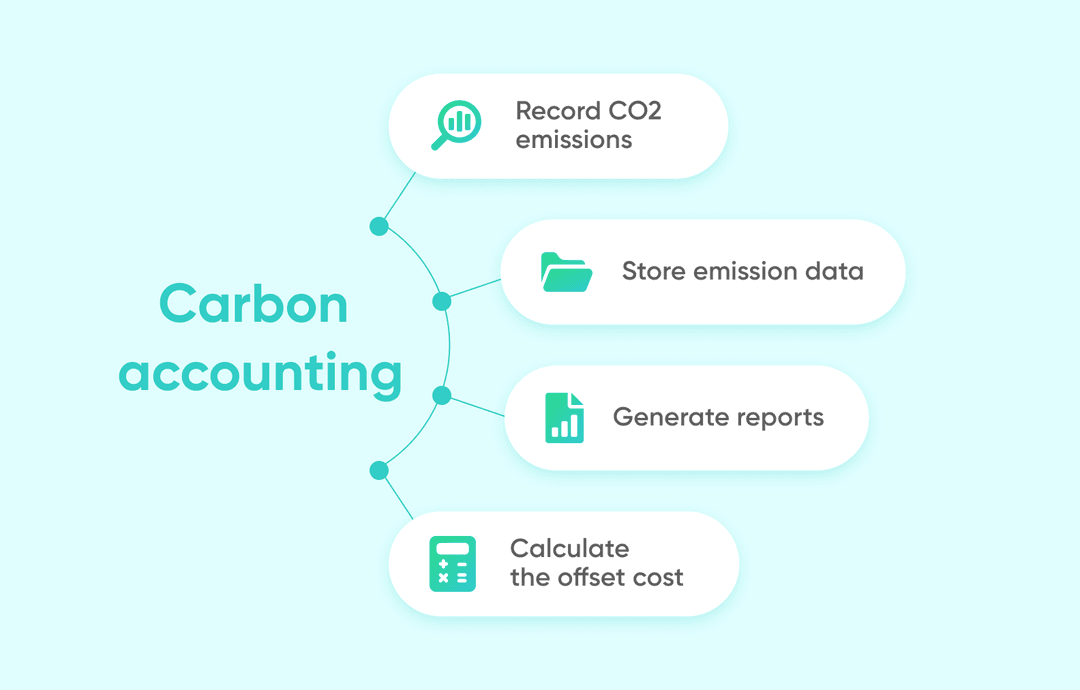 What the eco-consultant has to do