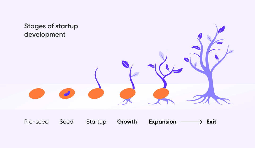 Stages of startup development as a seed growing into a tree: pre-seed, seed, startup, growth, expansion, exit