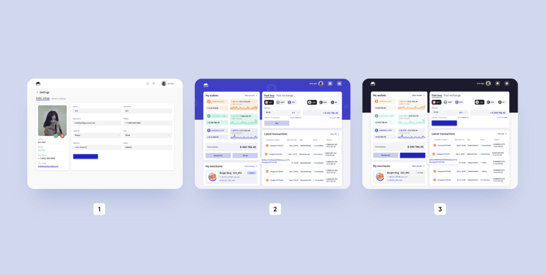 cryptocurrency wallet development: 3 design-concepts