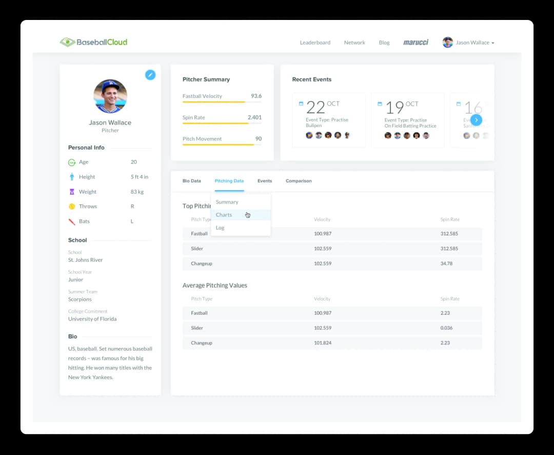 BaseballCloud user profile and pitching statistics dashboard