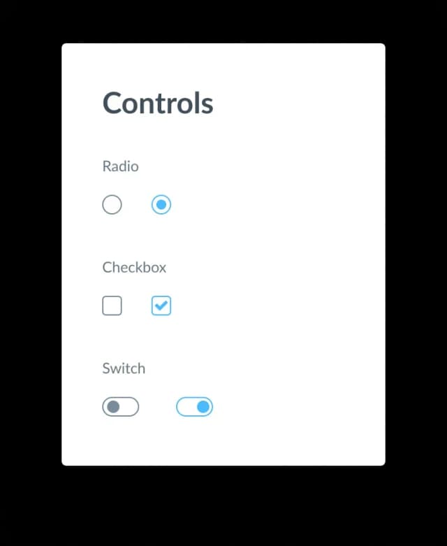 UI controls screen with radio, checkbox, and switch