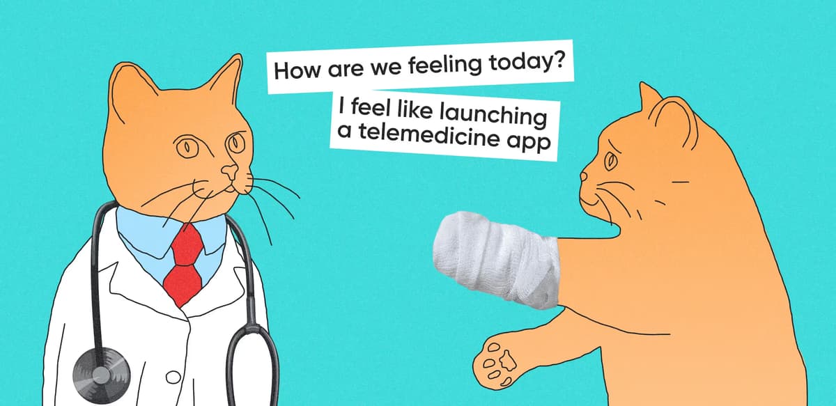 How Much Does It Cost to Develop a Telemedicine App