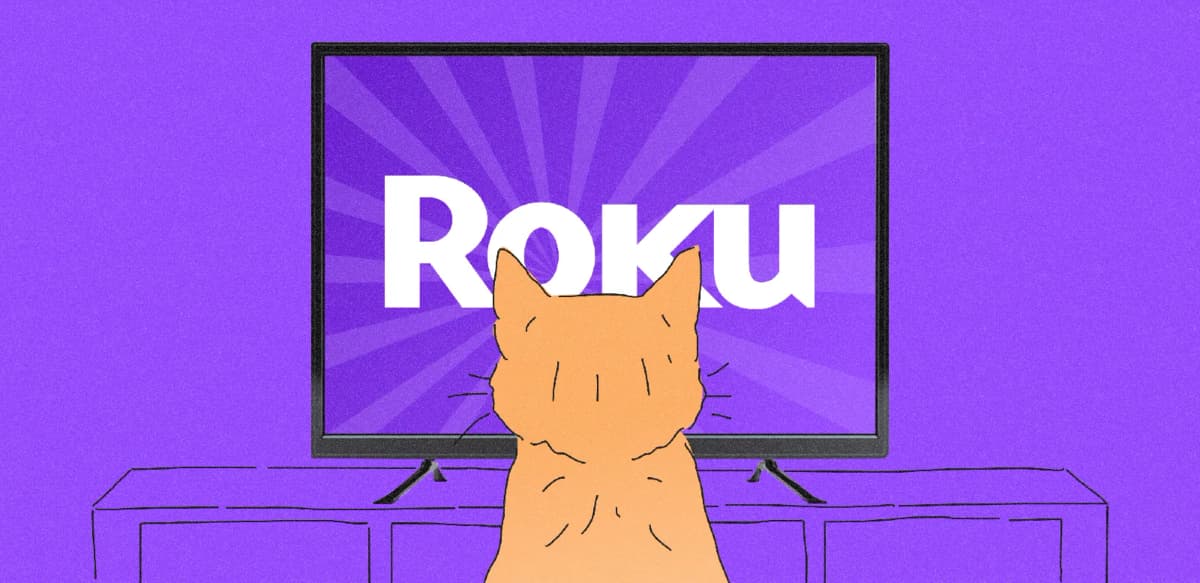 Roku TV app development: tips for creating a successful streaming app

