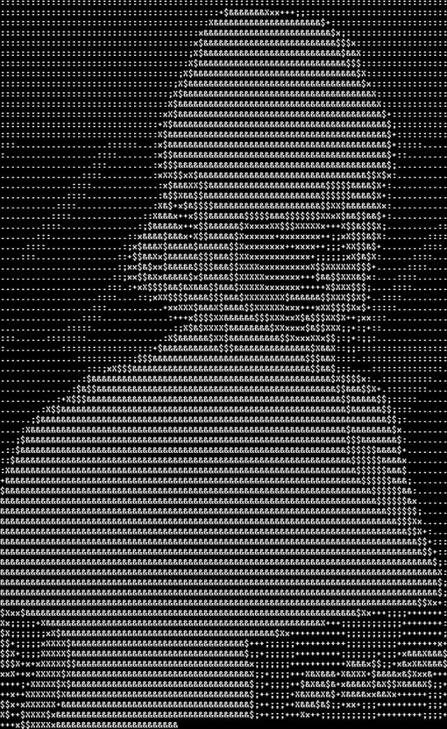 Portrait of person