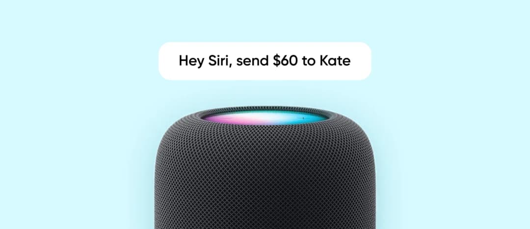 Payments via smart speakers screen 