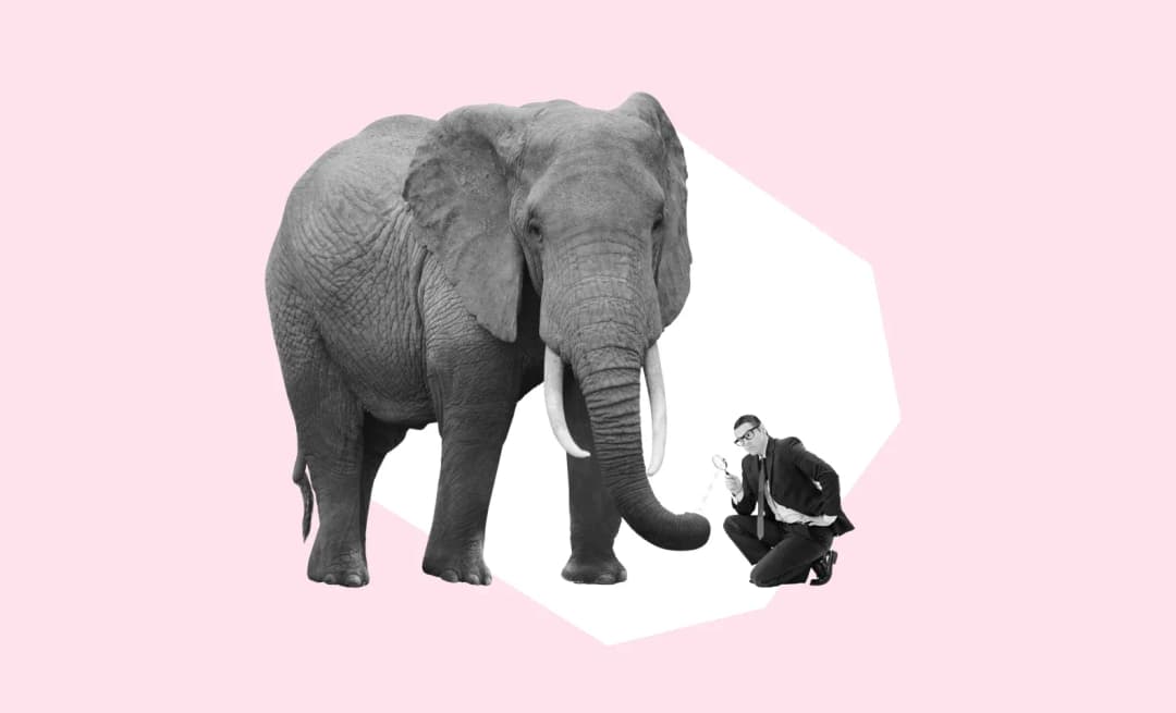A person looking at the elephant trough the looking glass.