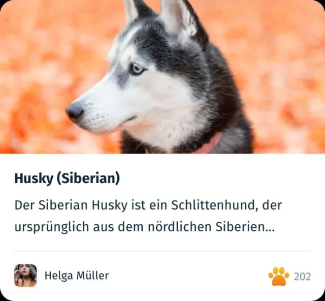 reviews