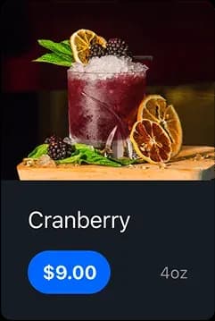 Cranberry cocktail with garnish