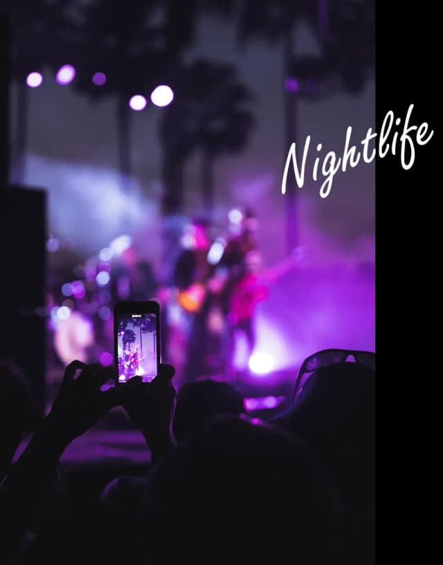 Audience silhouette holding a phone recording a live concert with purple stage lights and palm trees in the background.
