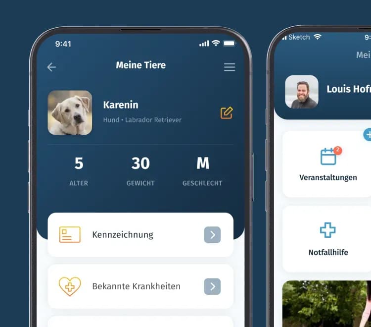 Thumbnail with screenshots of service named Eventignite 
