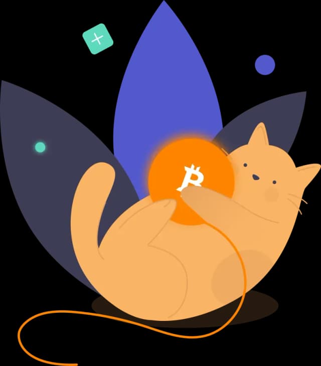 Cat holding a Bitcoin symbol