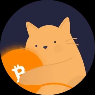 Cartoon cat holding a Bitcoin symbol