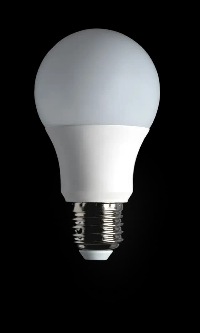 LED light bulb