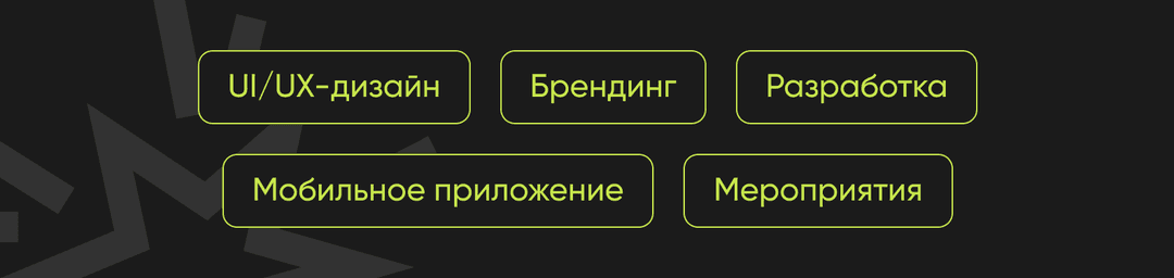 кейс Buzz