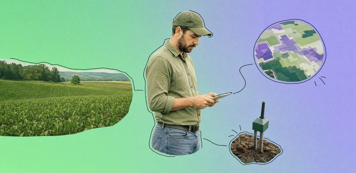 How AI Is Used in Agriculture: Applications and Business Value