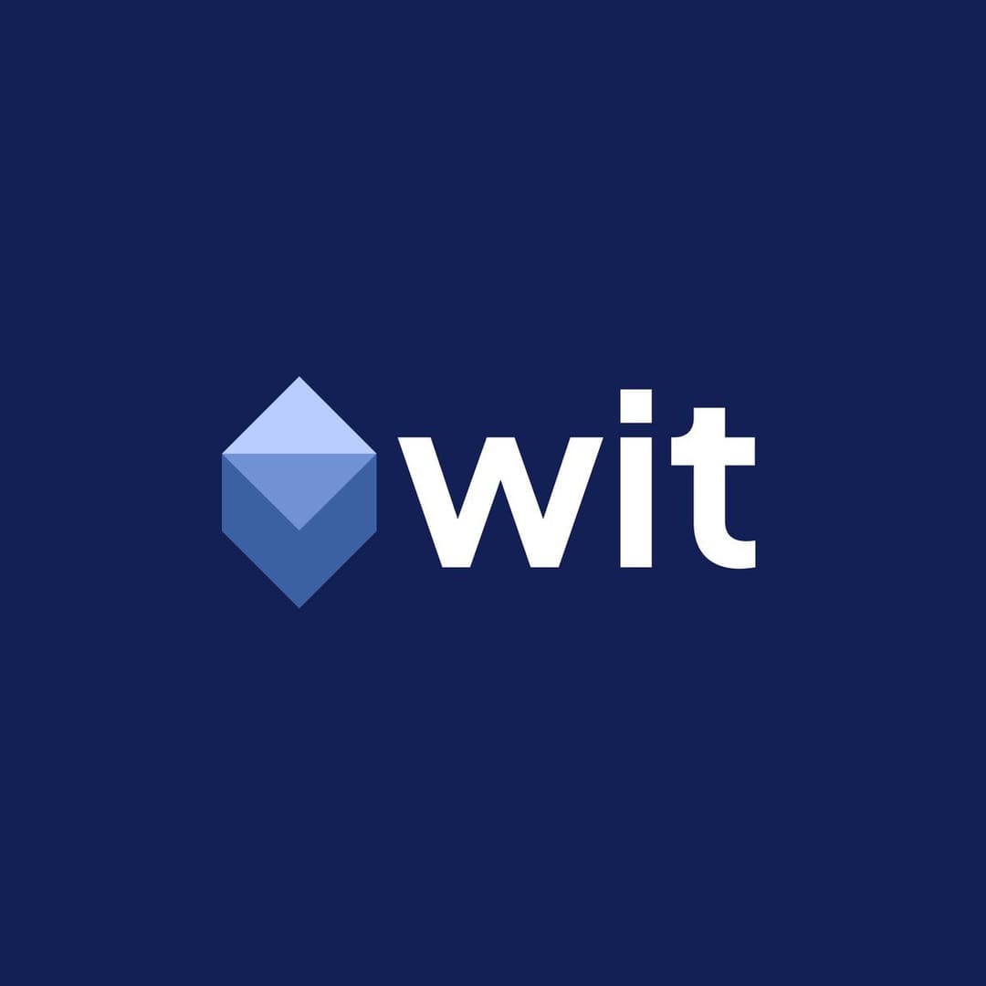 Вторая концепция логотипа WIT — метафора айсберга