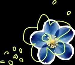 Blue flower with decorative outlines