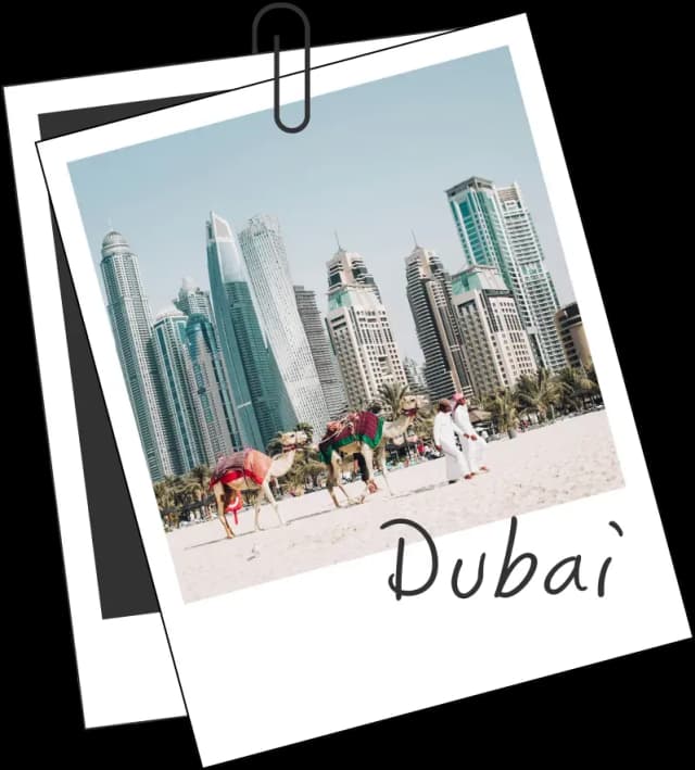 Camels in Dubai with city skyline