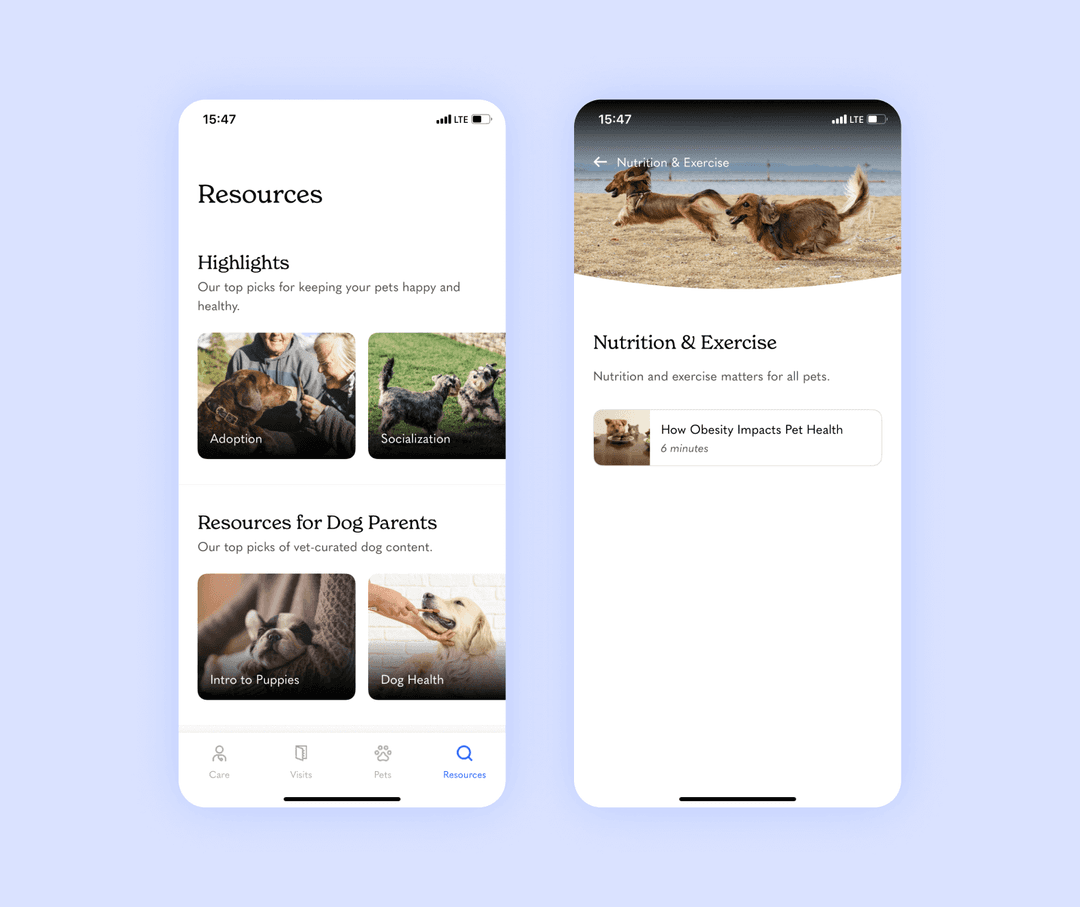 Airvet