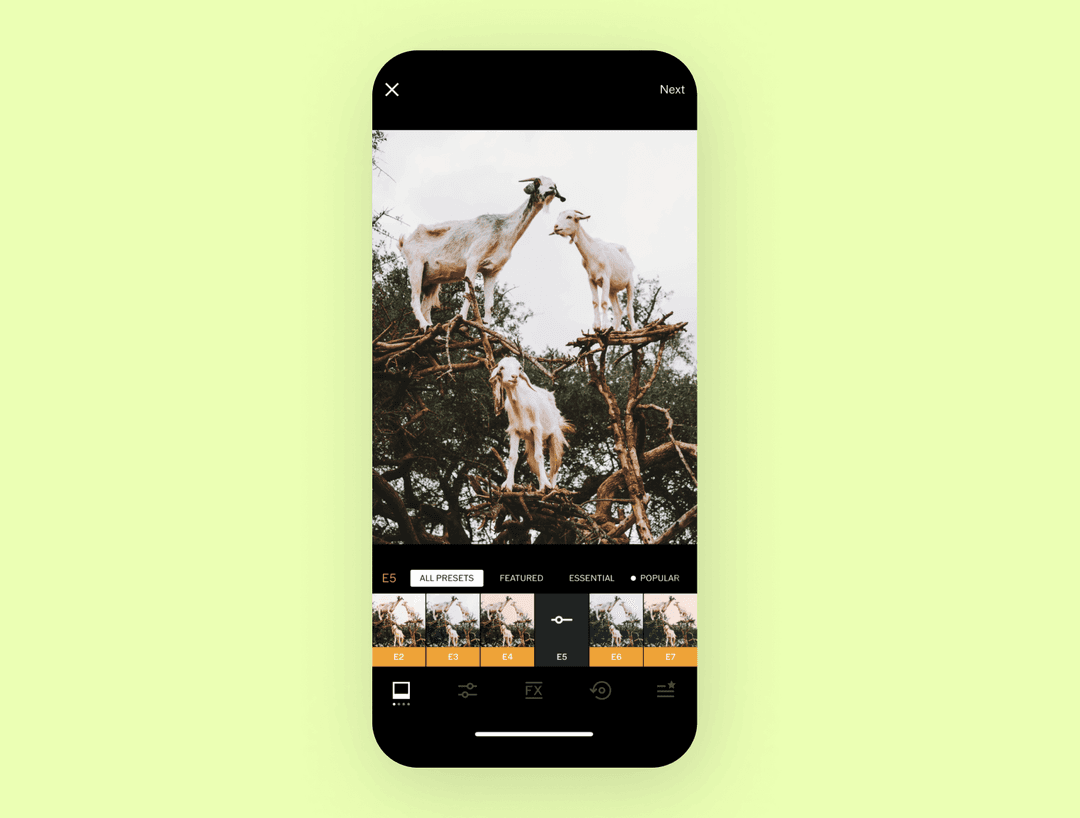 Photo editing screen with goats standing in a tree and a row of filter presets E2 to E7