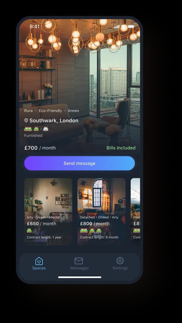 screenshot of the application
