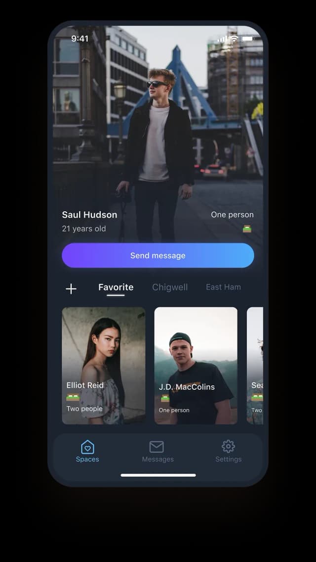 screenshot of the application