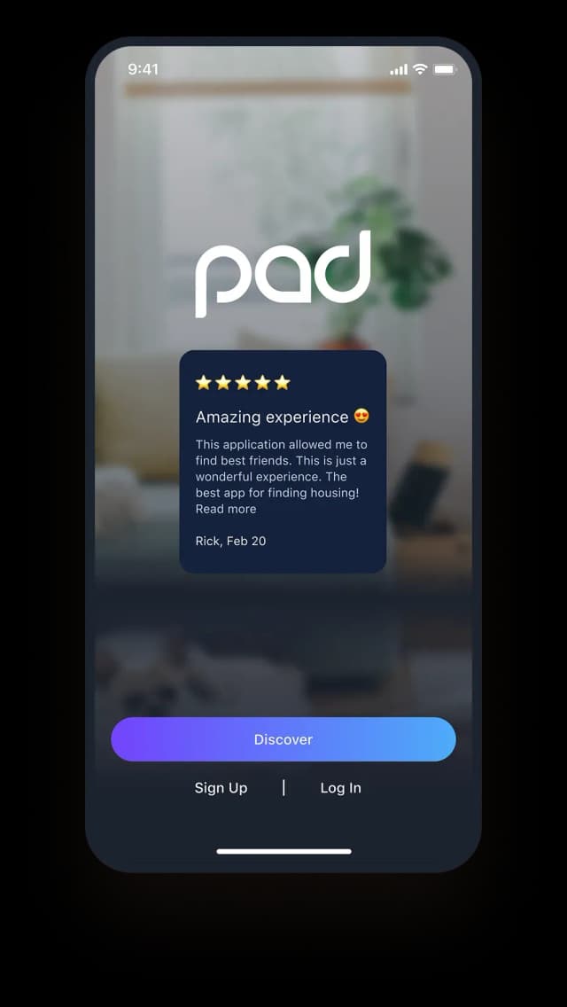 screenshot of the application