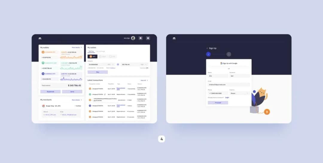 pay pay crypto e-wallet redesign with buy hold and swap flow