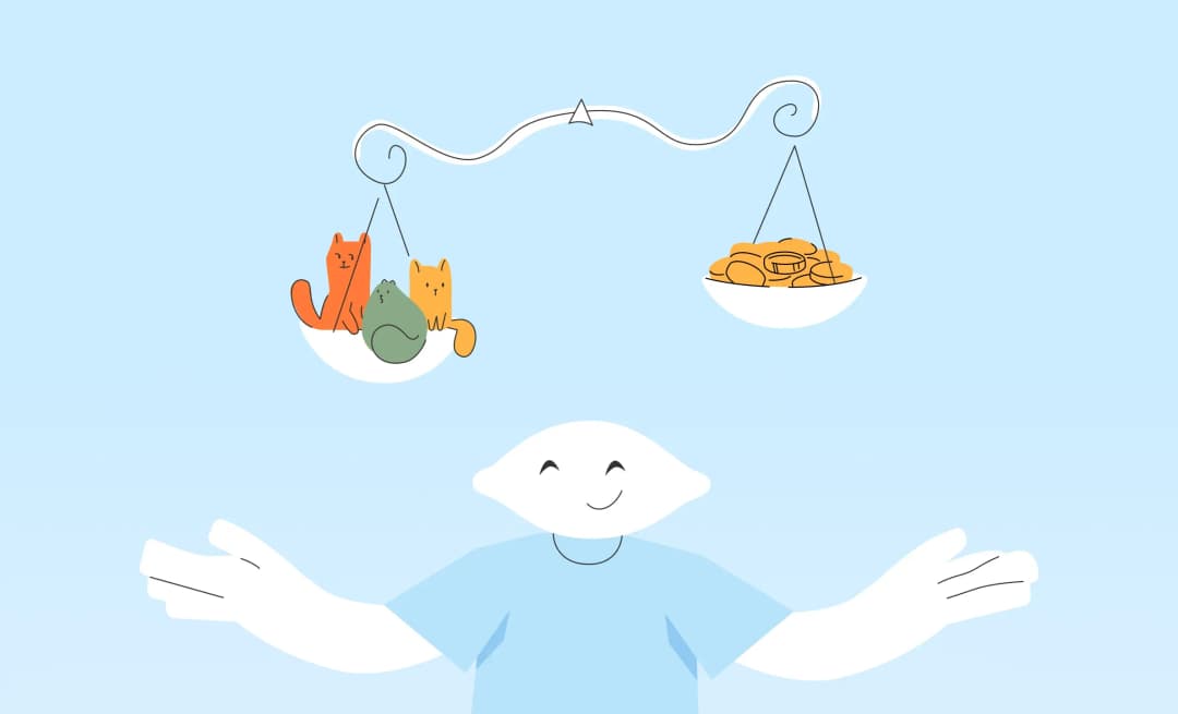 Try to find a software developer for your startup at reasonable costs