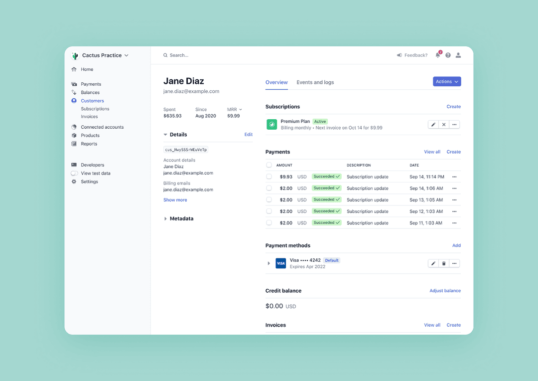 Screenshot of Stripe’s interface
