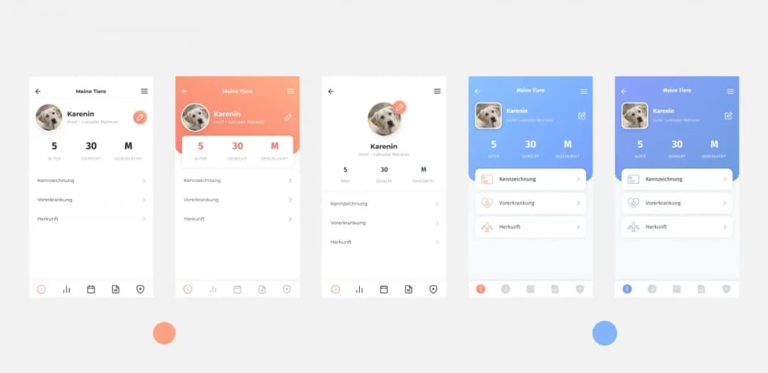 Five styling variants of the Petbuddy pet profile screen in white, orange and blue color schemes