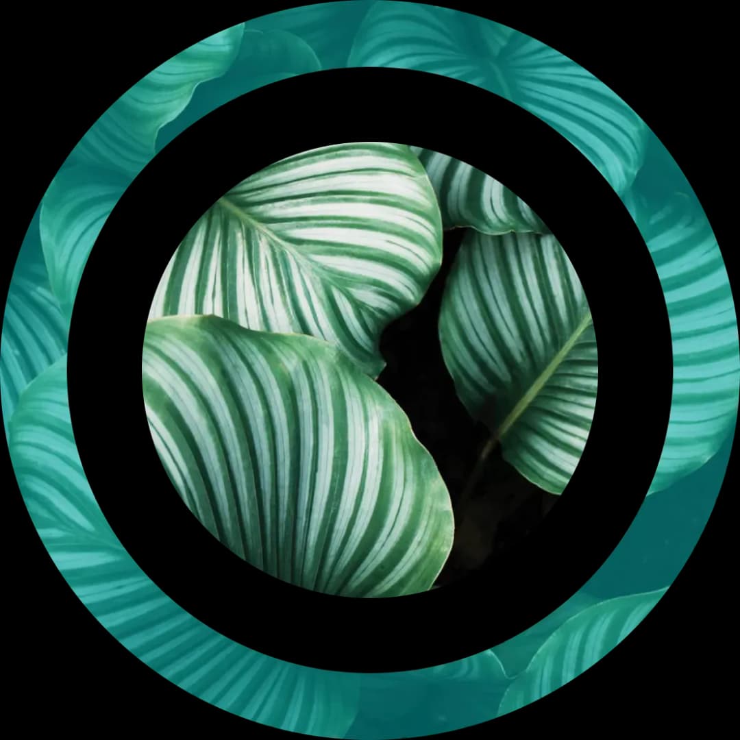 Decorative