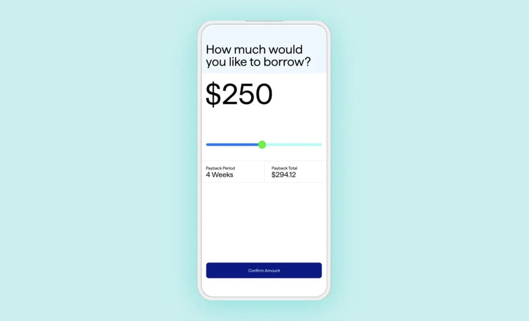 Possible app loan application screen