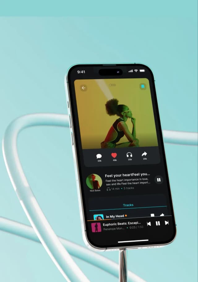 Mobile music app displaying song details