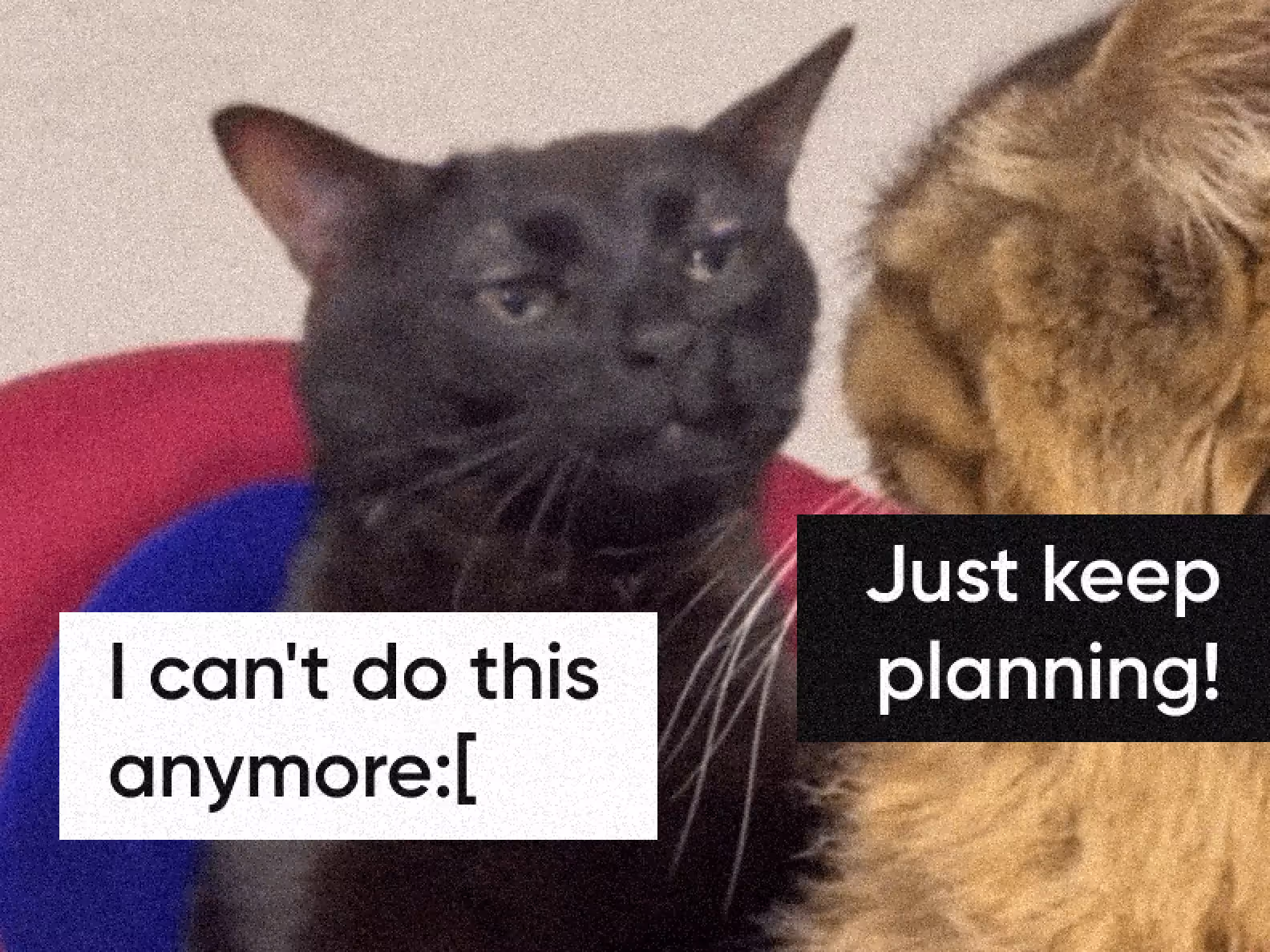 It’s your face when you plan your trip for more than three days