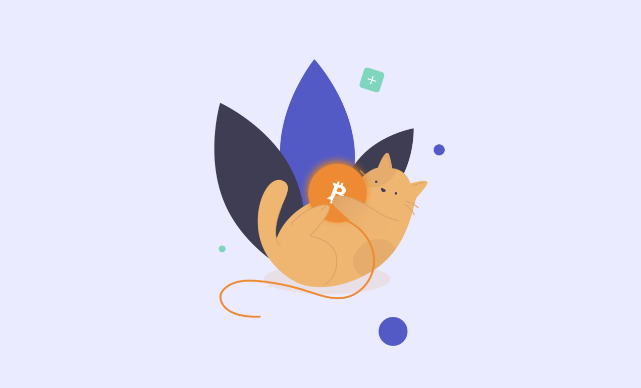 cryptocurrency wallet development: purrweb's mark on the project