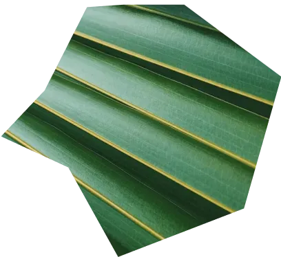 Decorative