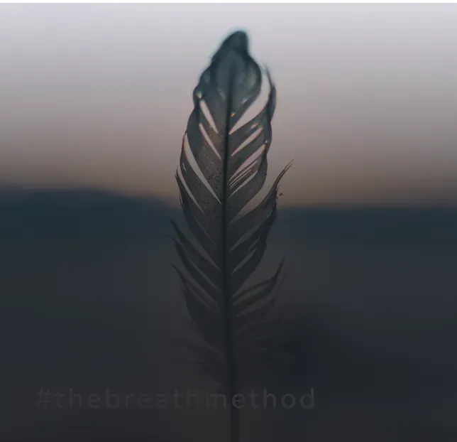 Feather silhouette against gradient background