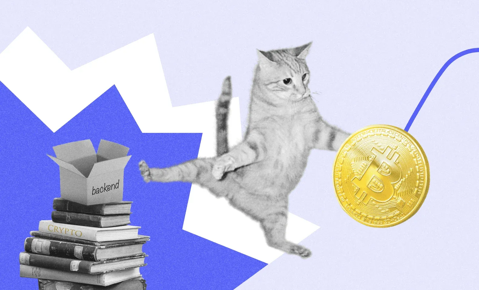 Кот отбивает золотую биткоин-монету рядом со стопкой книг с коробкой «backend» и томом Crypto