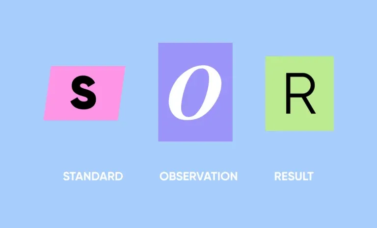 SOR feedback model infographic: Standard, Observation, Result in colored blocks