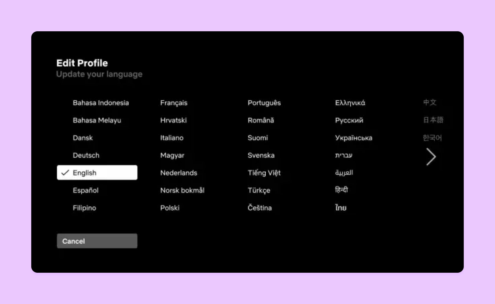A screenshot of the Netflix TV app