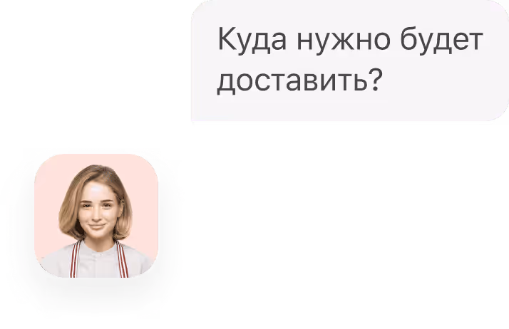 Chat interface with delivery inquiry text