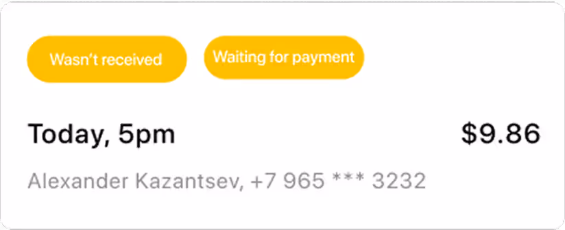 Payment details and status screen