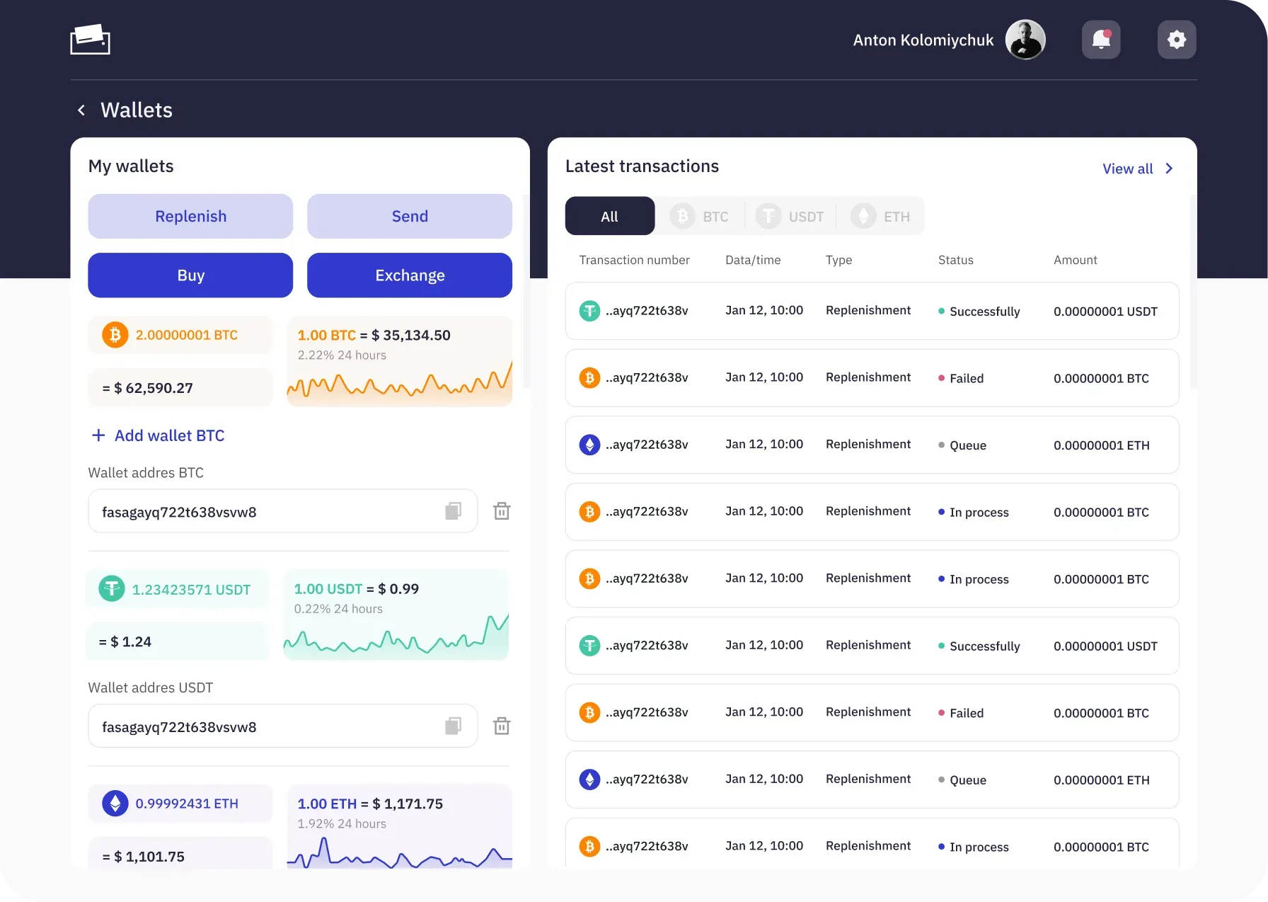 Pay-Pay crypto e-wallet dashboard