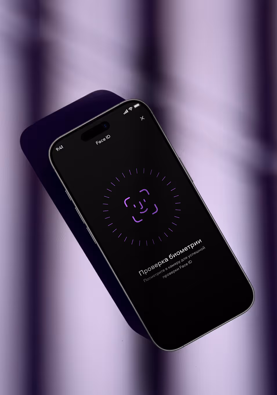 Mobile app biometric verification screen
