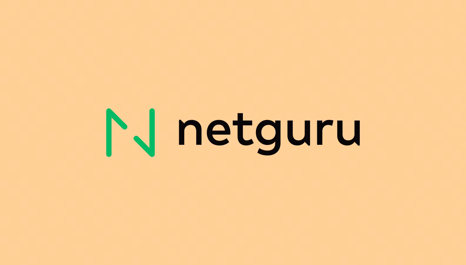 netguru logo