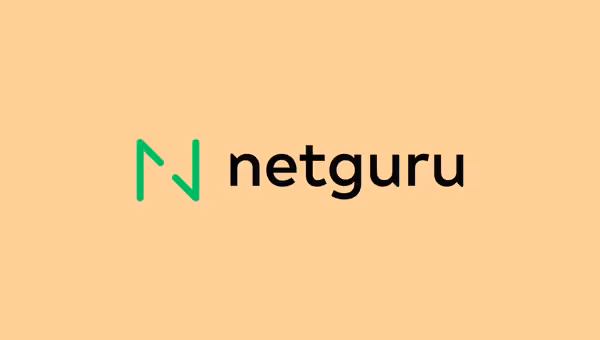 Netguru logo