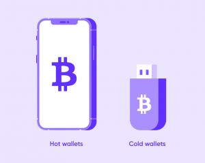 виды кошельков криптовалют