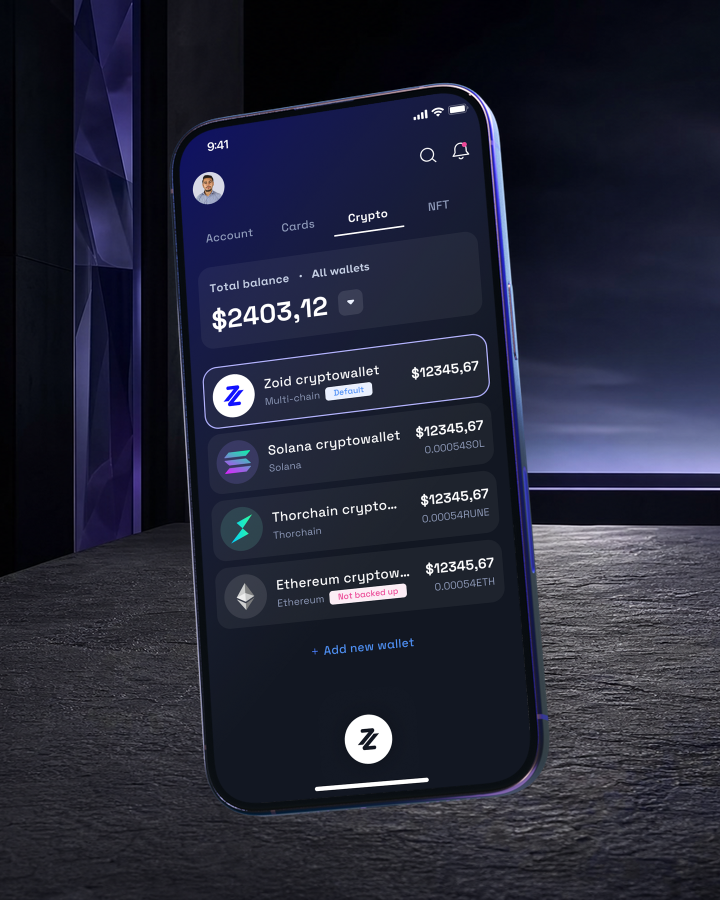 ZoidPay’s multi-chain wallets and total balance in a phone mockup.